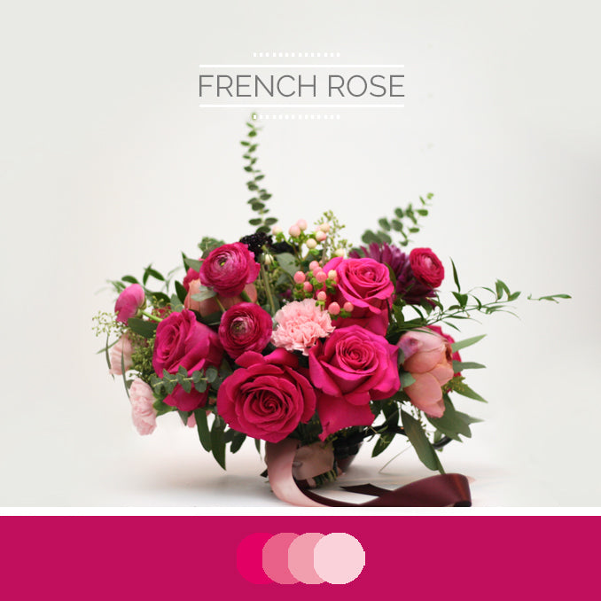 French Rose – Lace and Bloom