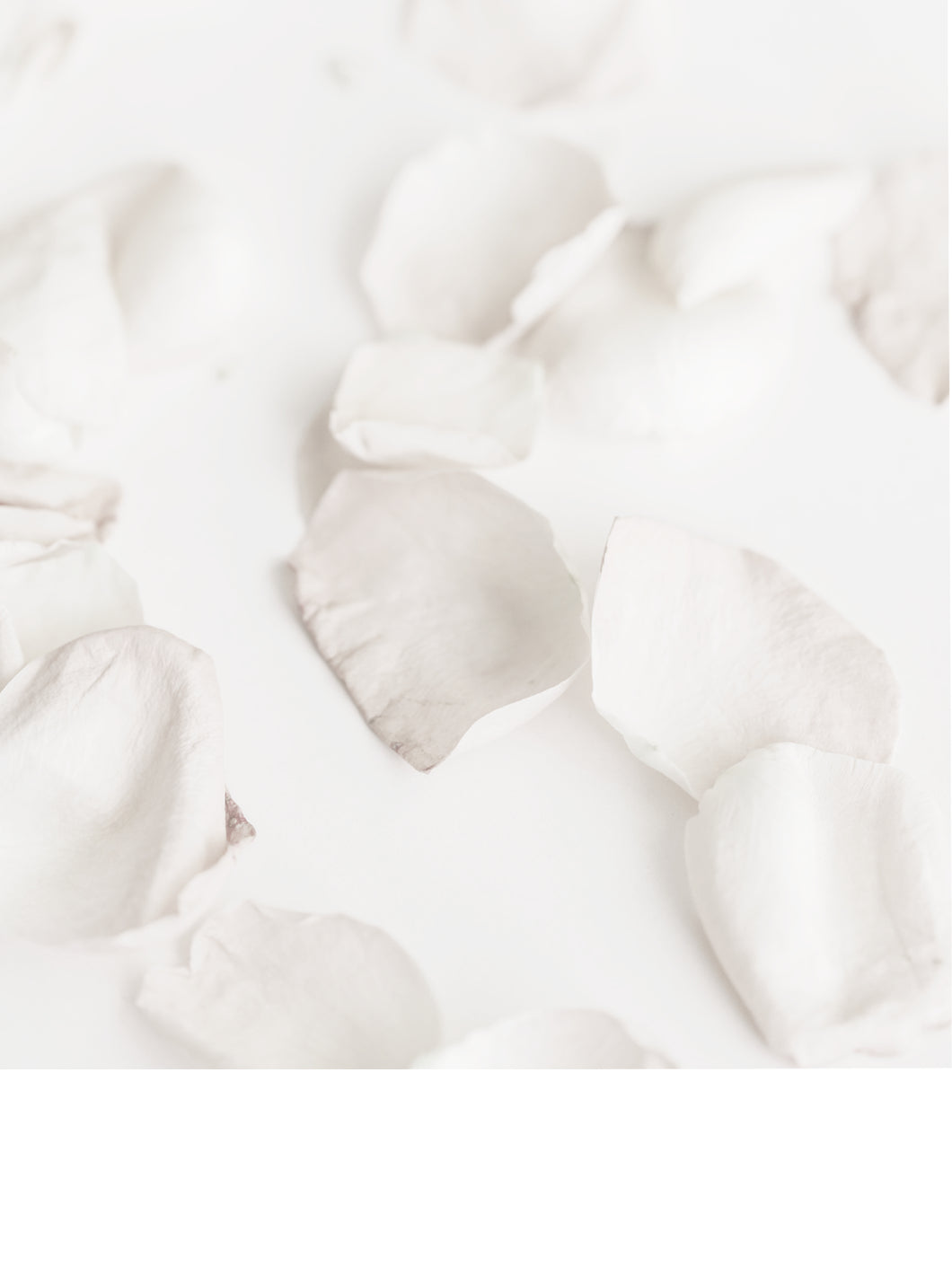 Petals